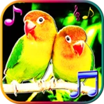 Logo of Birds Sounds Ringtones and Wallpapers android Application 