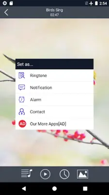 Birds Sounds Ringtones and Wallpapers android App screenshot 4