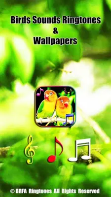 Birds Sounds Ringtones and Wallpapers android App screenshot 7